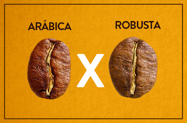Café Robusta x Café Arábica: Entenda aqui a diferença!